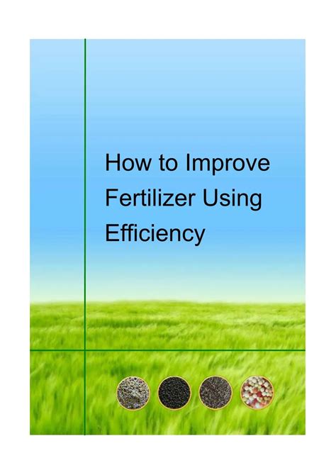 Ppt How To Improve Fertilizer Using Efficiency Powerpoint