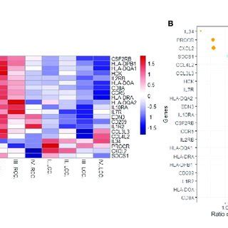 Immunologically Relevant Differential Genes Expression Analysis A