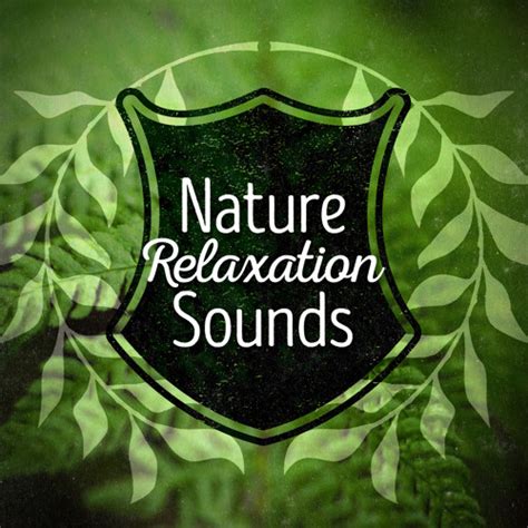 Stream The Movement Of Rivers By Sounds Of Nature Relaxation Listen