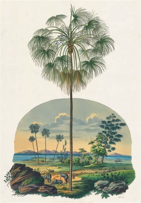 A Drawing Of A Palm Tree In The Middle Of A Field