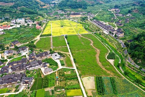 美翻了我的村㉗ 福建省漳州市华安县仙都镇大地村：奏响乡风文明之歌 中国文明网