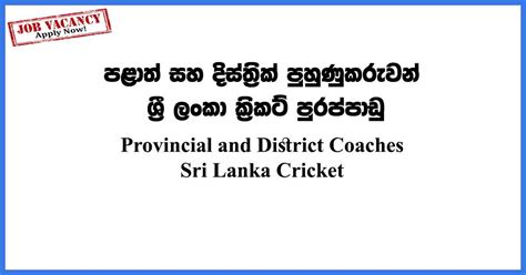 Provincial And District Coaches Sri Lanka Cricket Vacancies Gazettelk