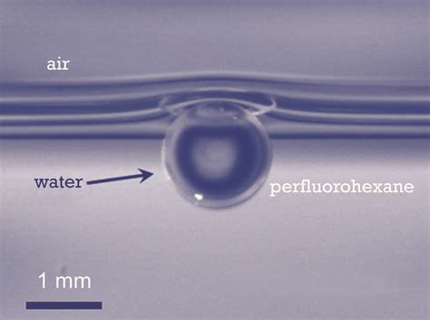 Water Drop | Water drop placed at the perfluorohexane/vapor … | Flickr