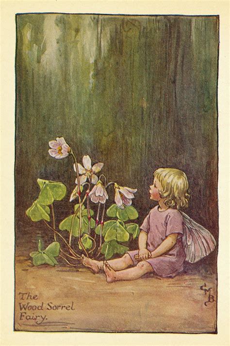 Cicely Mary Barker Flower Fairies Of The Spring 1923 Ill… Flickr