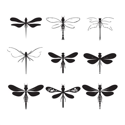 A black silhouette Dragonfly set 41413908 Vector Art at Vecteezy