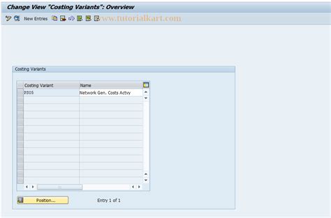 Okyg Sap Tcode Cstg Variants Network Costs Activity Transaction Code