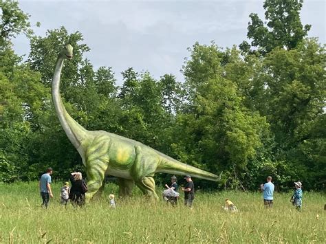 The Land Of Giants At Maxstoke Estate Near Birmingham In Pictures