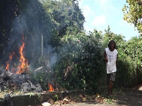 Burning Trash In The Tropics Stock Footage Video Of Controlled