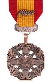 Vietnam Gallantry w/Gold Frame & Palm Medal – Superthinribbons