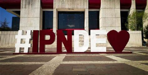 Segunda Convocatoria Ipn Todo Lo Que Debes Saber Scholarships