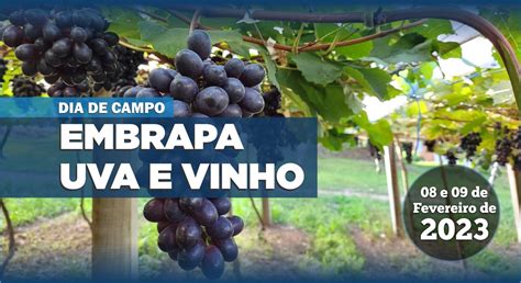 Dia De Campo Da Embrapa Uva E Vinho Blog Vinho Tinto