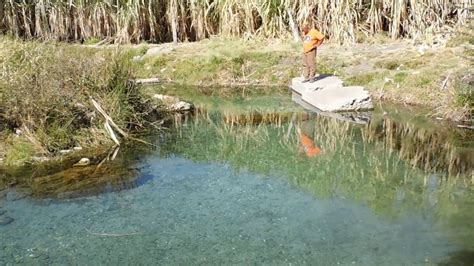 El Ojito Atencingo Puebla Donde Nace El Aqua en Un Cañaveral YouTube