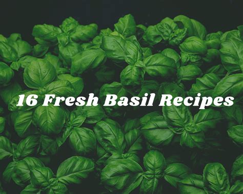 16 Fresh Basil Recipes - Just A Pinch Recipes