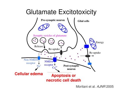 Ppt Neuroimaging Of Toxic Encephalopathy Powerpoint Presentation