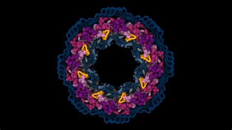 水木视界iss14丨nature新解读，alphafold和ai蛋白质折叠革命的下一步是什么？ 知乎