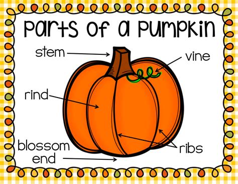 Ship Shape First Grade Parts Of A Pumpkin Pumpkin Lessons