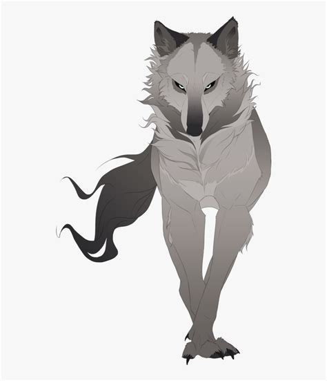 Anime Wolf Art Drawing Drawing Skill