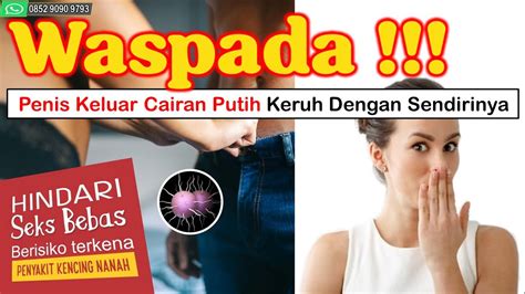 Waspada Penis Keluar Cairan Putih Keruh Dengan Sendirinya Youtube