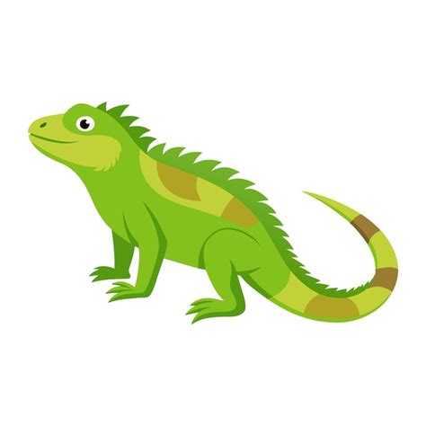 Ilustración Vectorial Plana De Un Animal Iguana Sobre Un Fondo Blanco