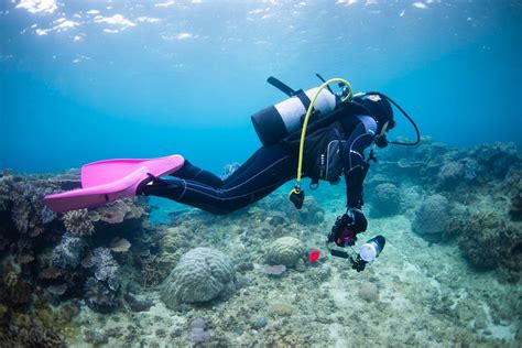 シークレットスポット・調査ダイビング 水中写真撮影 空 良太郎