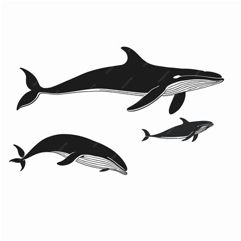 Premium Vector | Whale drawing silhouette art illustration