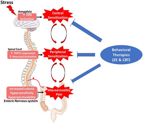 Frontiers Importance Of Non Pharmacological Approaches For Treating