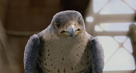 Stuart Little 2-Falcon 7 by GiuseppeDiRosso on DeviantArt