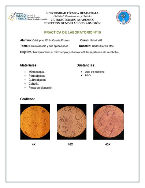 Practica De Laboratorio N By Cris Cuesta Issuu