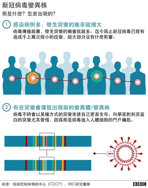 奥密克戎亚型变异株ba 2：大流行疫情结束的开端？ Bbc News 中文