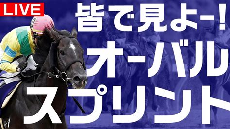 地方競馬 テレ玉杯オーバルスプリント を皆で観戦しよー【浦和】地方競馬ライブ ホッカイドウ競馬 浦和競馬 Youtube