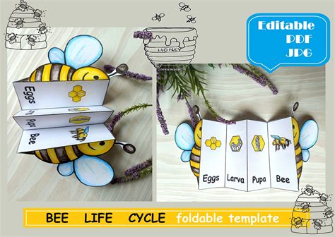 Bee Life Cycle Printable, Foldable Bee Life Cycle, Montessori Digital Cards Montessori Learning ...