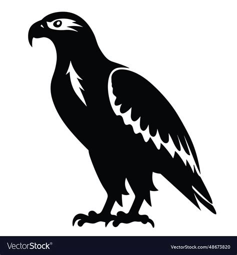 Hawk black icon on white background Royalty Free Vector