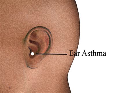 Acupressure Massage for Shortness of Breath – HerbalShop