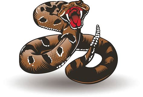 Rattlesnake Vector