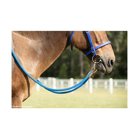 Soft Cotton Rope Horse Riding Reins - Two Horse Tack