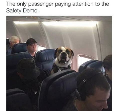 23 Pictures That Are Way Too Real For Flight Attendants Flight