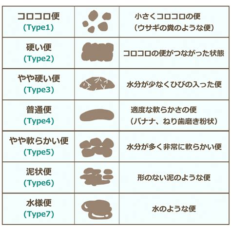 排便は健康のバロメーター！理想的な色や形状とは？ 産業保健新聞｜ドクタートラスト運営