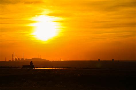 Enjoying The Sun Ii By Budeltier On Deviantart