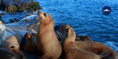 Top Galapagos Island Hopping Tours - Best Galapagos Tours