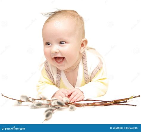 Baby Pussy Stock Photos Royalty Free Stock Images