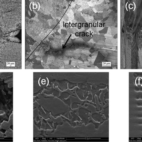 SEM and EDX analysis in HAZ liquation cracking area. | Download Scientific Diagram