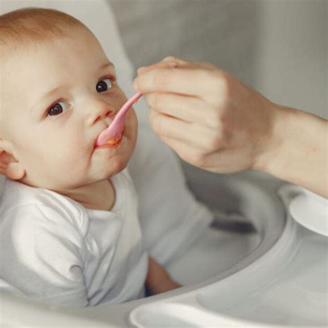 Melhores Papinhas para Bebês de 6 Meses Receitas Nutritivas e Deliciosas