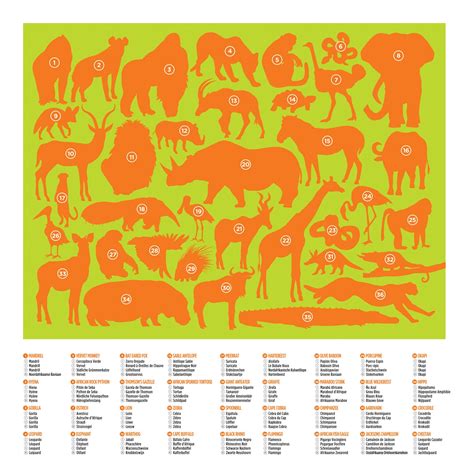 36 Animal Puzzle 100 Pc Wild Animals Bliss And Co