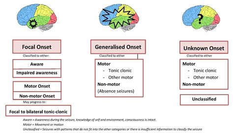 Seizure Types and Classification - Epilepsy Action Australia