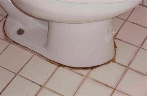 mold in toilet cistern