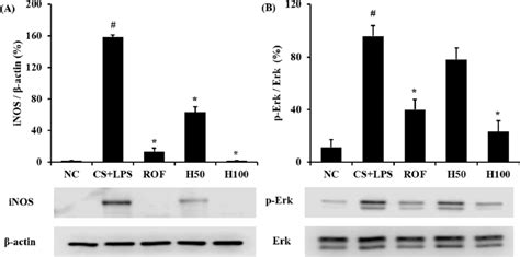 Hemohim Inhibited The Inos And Phosphorylation Of Erk Expression In Download Scientific Diagram