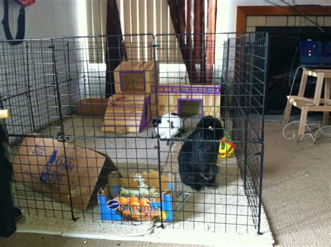 Rabbit Nation Indoor Rabbit Cage Ideas