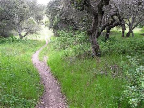 Fort Ord Public Lands Mountain Bike Trail in Monterey, California ...