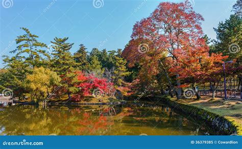 Jardín En El Templo De Todaiji En Nara Imagen de archivo Imagen de