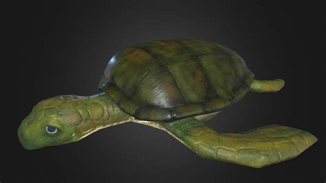 Low Poly Turtle 3d Model By Matthew Trupiano Trupianom 299ccc9